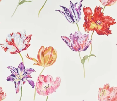 Sanderson Mural Tulipomania 216666