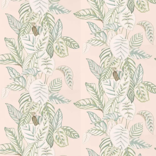Sanderson Wallpaper Calathea 216632