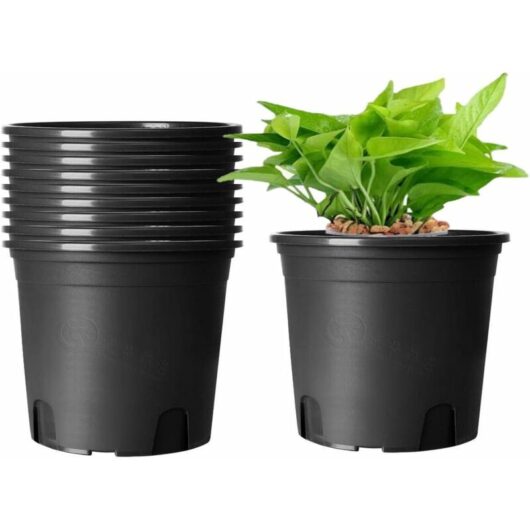 10Pcs Plastic Flower Pots, 16cm Thicken Plant Pots Plant Container Indoor Gardening Pot (Black)