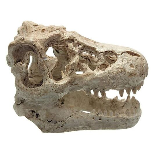 Aquarium Decor Aquarium Decoration Resin Simulation Dinosaur Head Aquarium Decor for Fish Lizard Reptile Hide Cave Aquarium Decoration