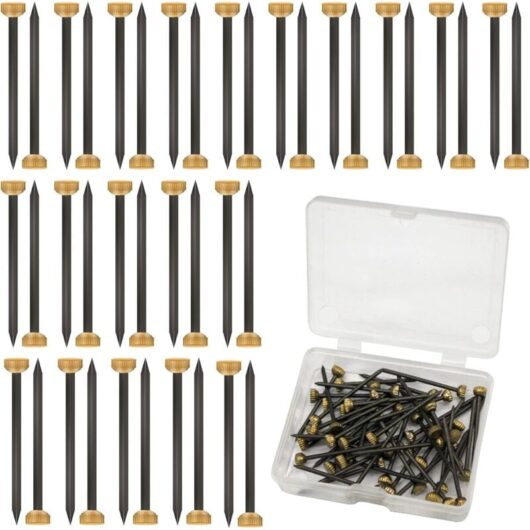 Csparkv - 50Pcs 4mm Brass Head Picture Hanging Nails for Hanging Pictures with Black and Yellow Plastic Storage Box - Small Nails for Picture Frame,