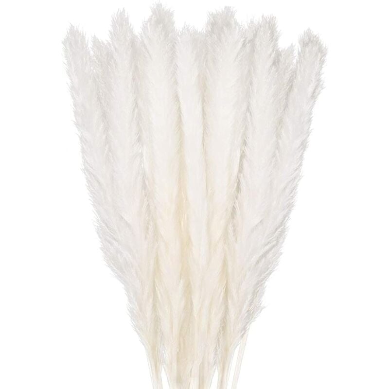 Dried Pampas Grass Decoration Set of 30, Decorative Flower Bouquet for Home Vase, Pampas Feather Grass 45cm Decorative Plant Decoration Table,