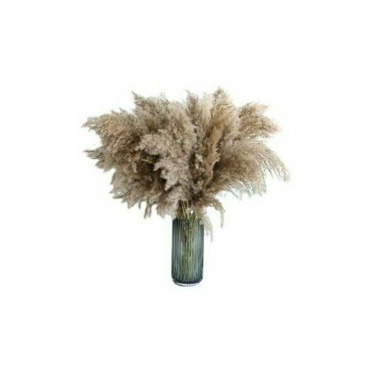Neige - 20pcs 60cm pampas grass naturally dried wedding fashion bouquet artificial flowers for home decor indoor vases