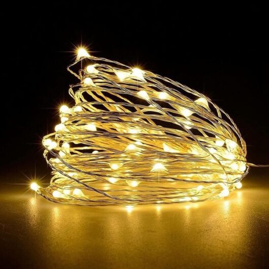 LED String Lights, Battery Operated String Lights with 5m, 50 Warm White LEDs on Silver Wire for Bedroom, Party, Wedding