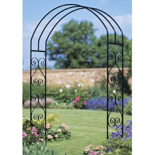 York Scroll Large Rose Arch - Solid Steel - L305 x W1524 x H2032 mm - Powder Coated Black