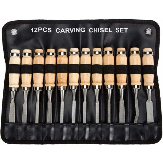 Professional Wood Chisel Set - 12 Pieces Sharp Woodworking Tools with Carrying Case - Perfect Wood Carving Kit for Wood Carving Beginners, for