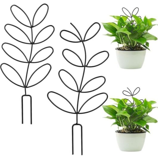 Set of 2 Potted Plant Trellises, Small Practical Metal Trellis Support for Garden Plants, Mini Trellis for Indoor Plants, Climbing Plants, DIY Flower