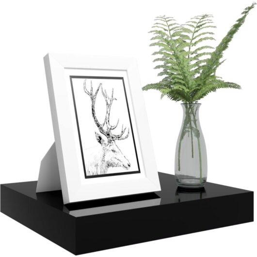 Woltu - High Gloss Wall Storage Shelf cd Media Storage Rack 25 x 22.9 x 3.8 cm Black