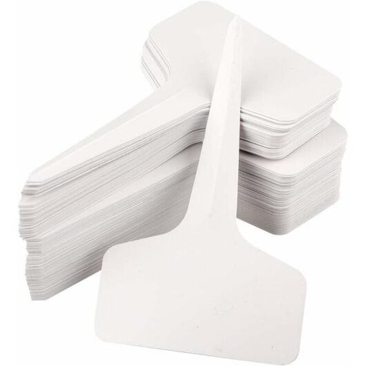100 Pieces Plant Labels for Seedlings, Garden, Vegetable Patch, Waterproof Plastic, Outdoor Use, White, 10x6CM